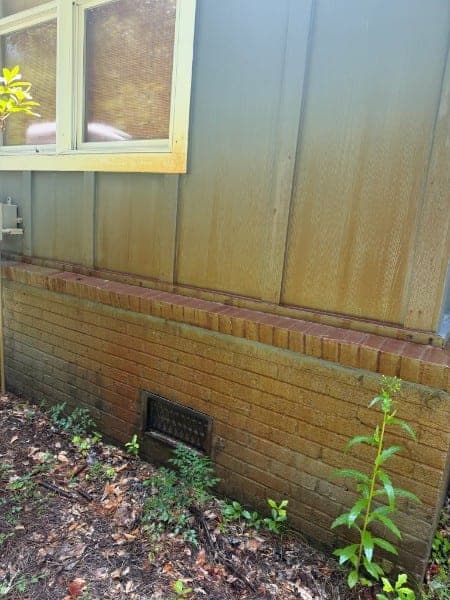 Siding and brick foundation stained yellow-green with algae before washing