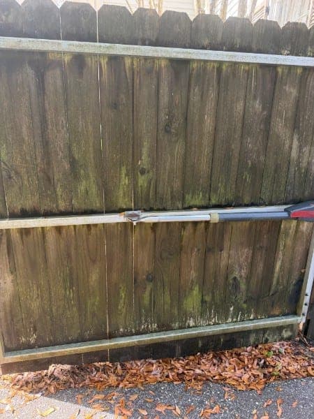 Wooden privacy fence stained green with algae and mildew before cleaning