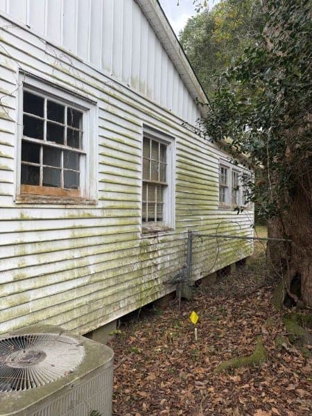 White lap siding covered in heavy green algae growth before soft washing